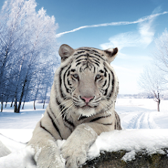 Wild Arctic Tiger Simulator 3D